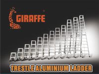 Giraffe Ladder